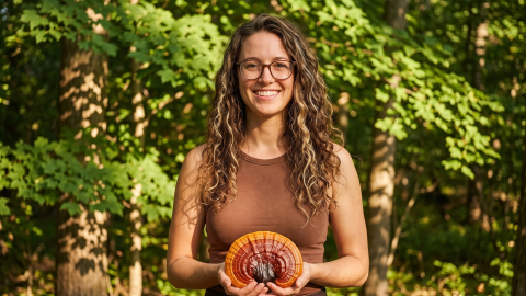 Το συναρπαστικό Reishi (Ganoderma lucidum)